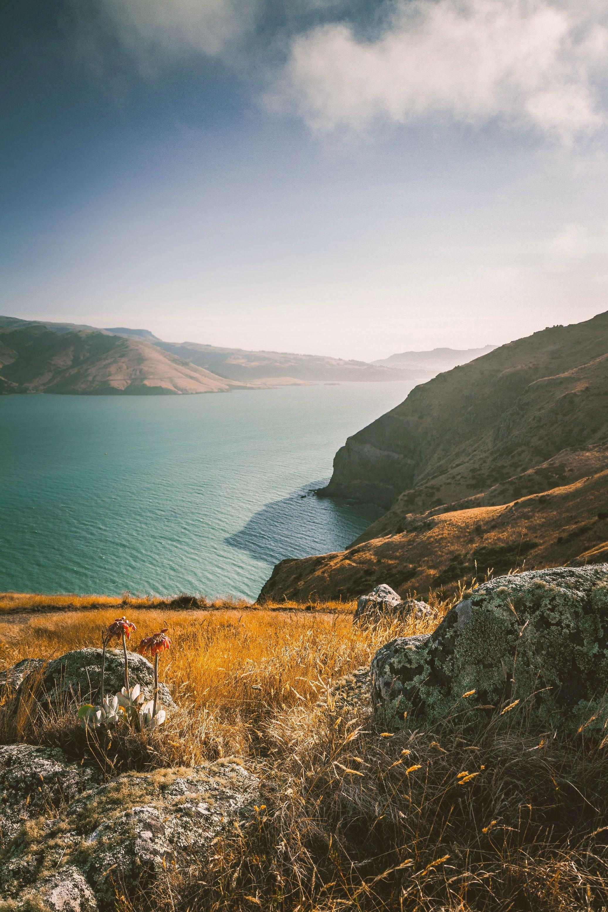 2073x3110 Godly Heads Christchurch New Zealand HD wallpaper