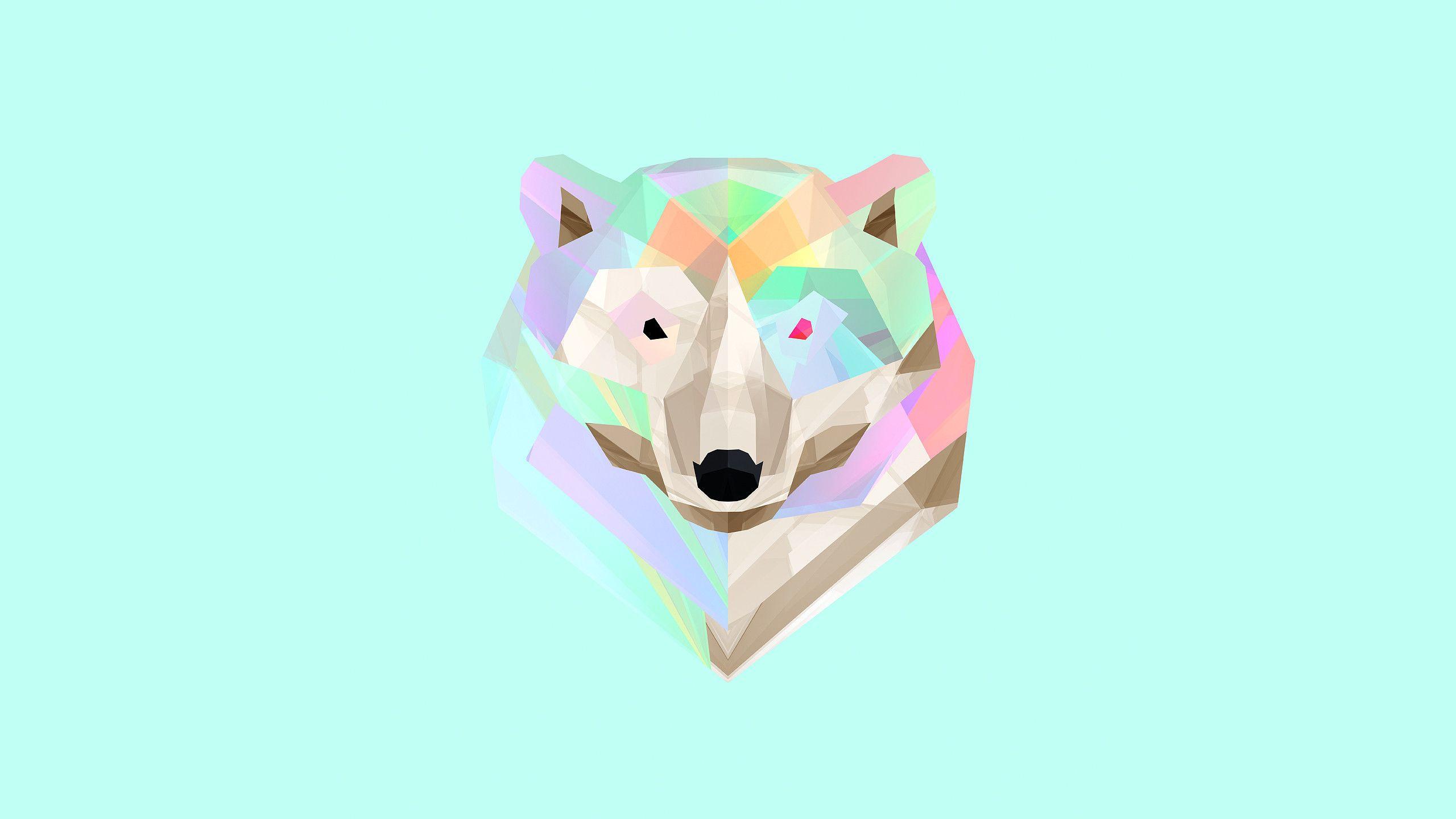 2560x1440 imgur.com. Bear wallpaper, Animal wallpaper, Bear rug