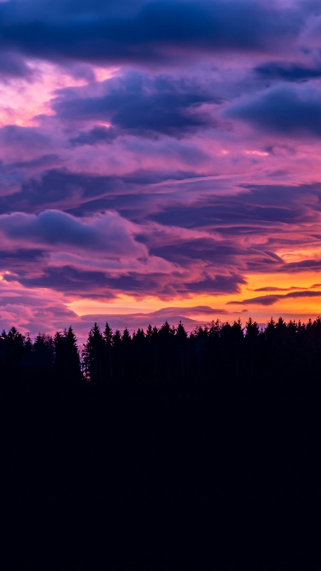 1080x1920 Sunset, cloudy sky, forest, silhouette, clouds wallpaper