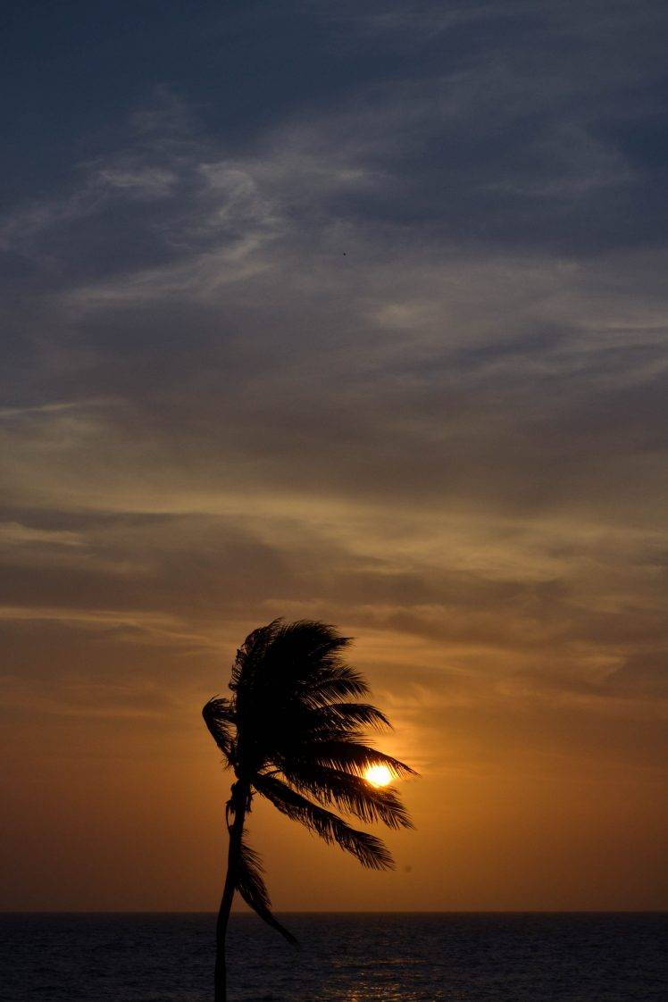 748x1122 landscape, Sunset, Sun, Nikon, Colombia Wallpaper HD / Desktop