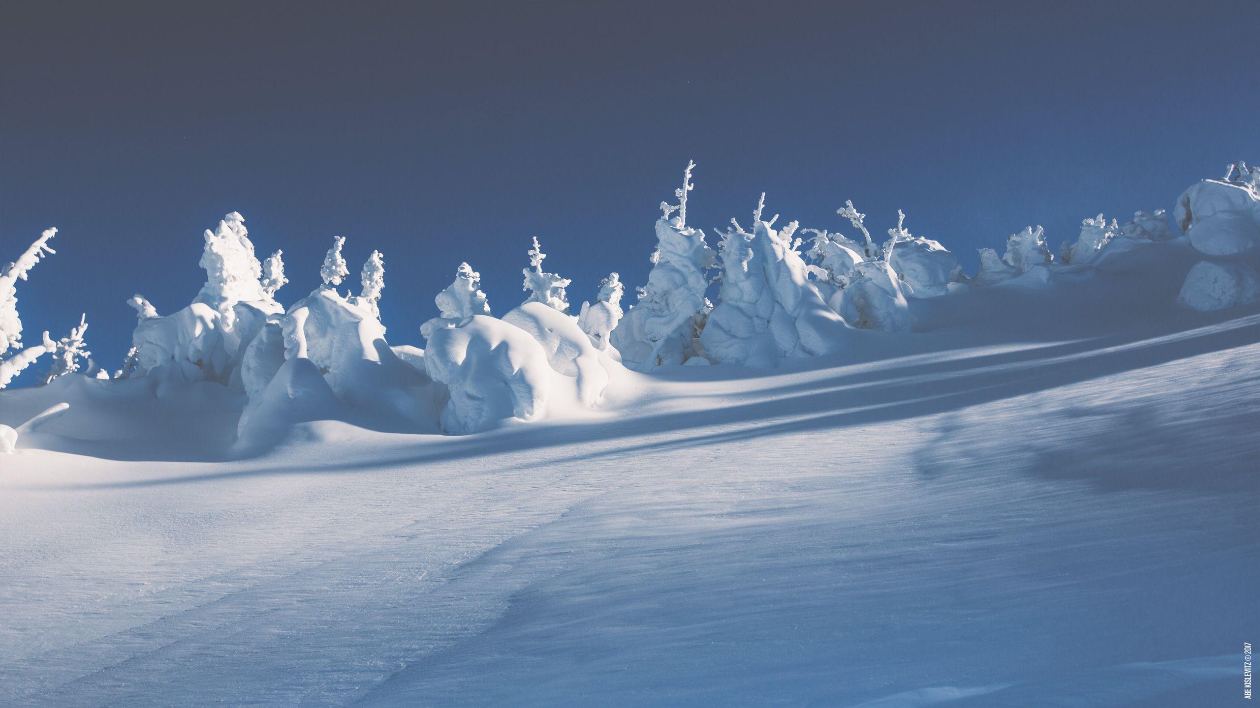 2560x1440 Wallpaper