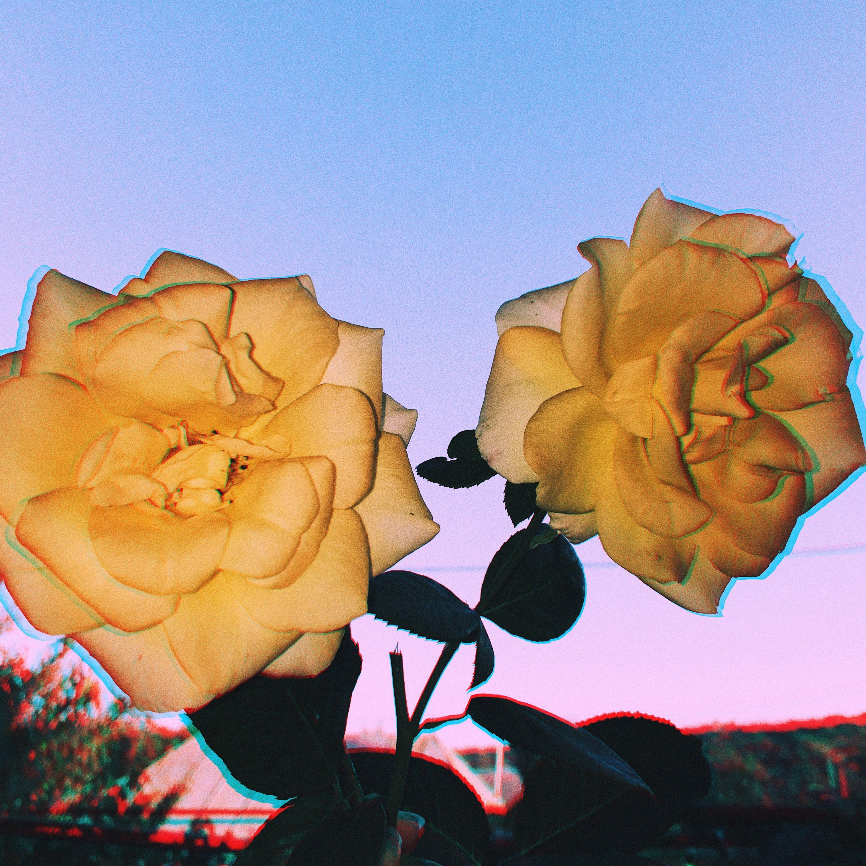 3024x3024 lanimanners1 vsco lanimanners. Aesthetic. Aesthetic
