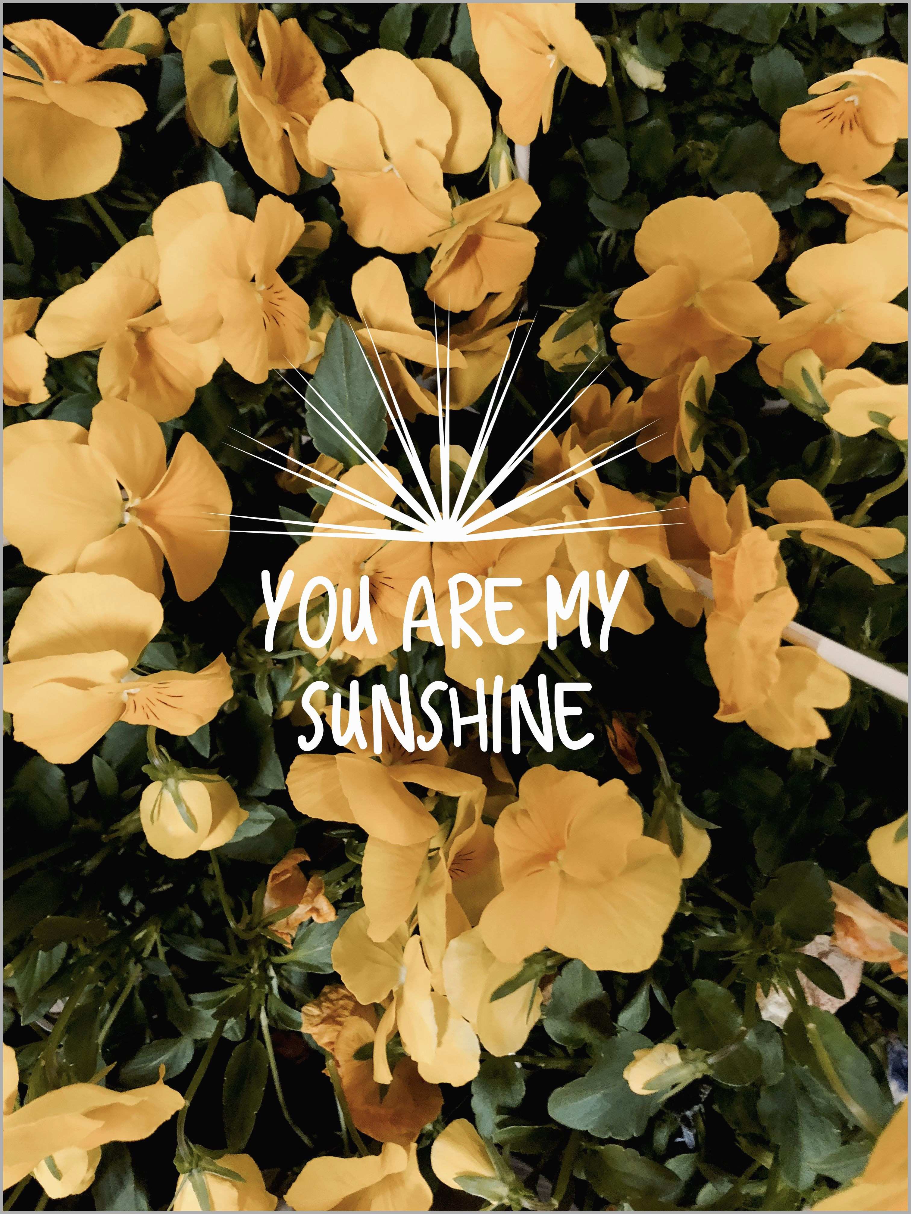 3024x4032 Yellow Aesthetic Flowers Wallpaper