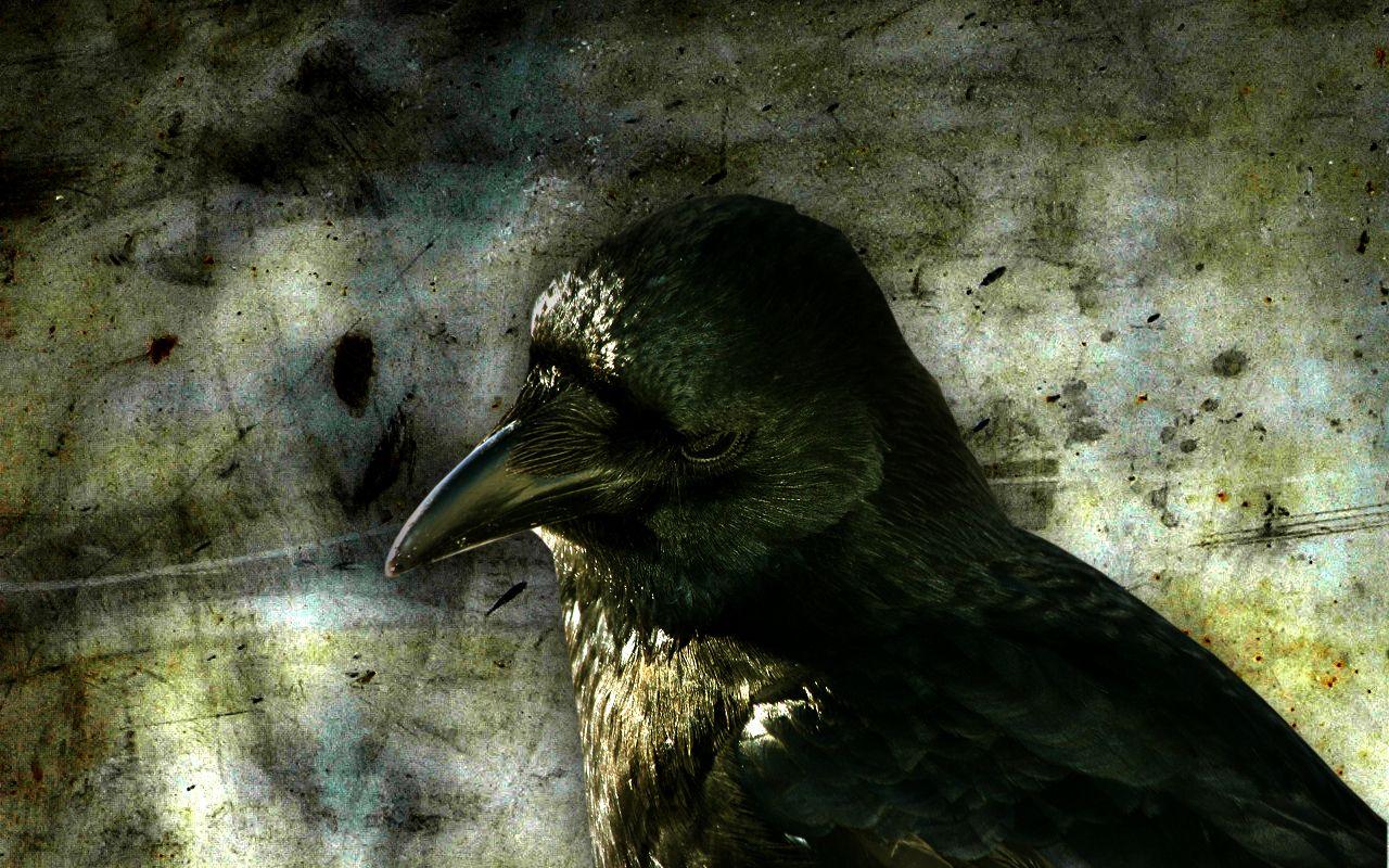 1280x800 Crow Movie Wallpaper