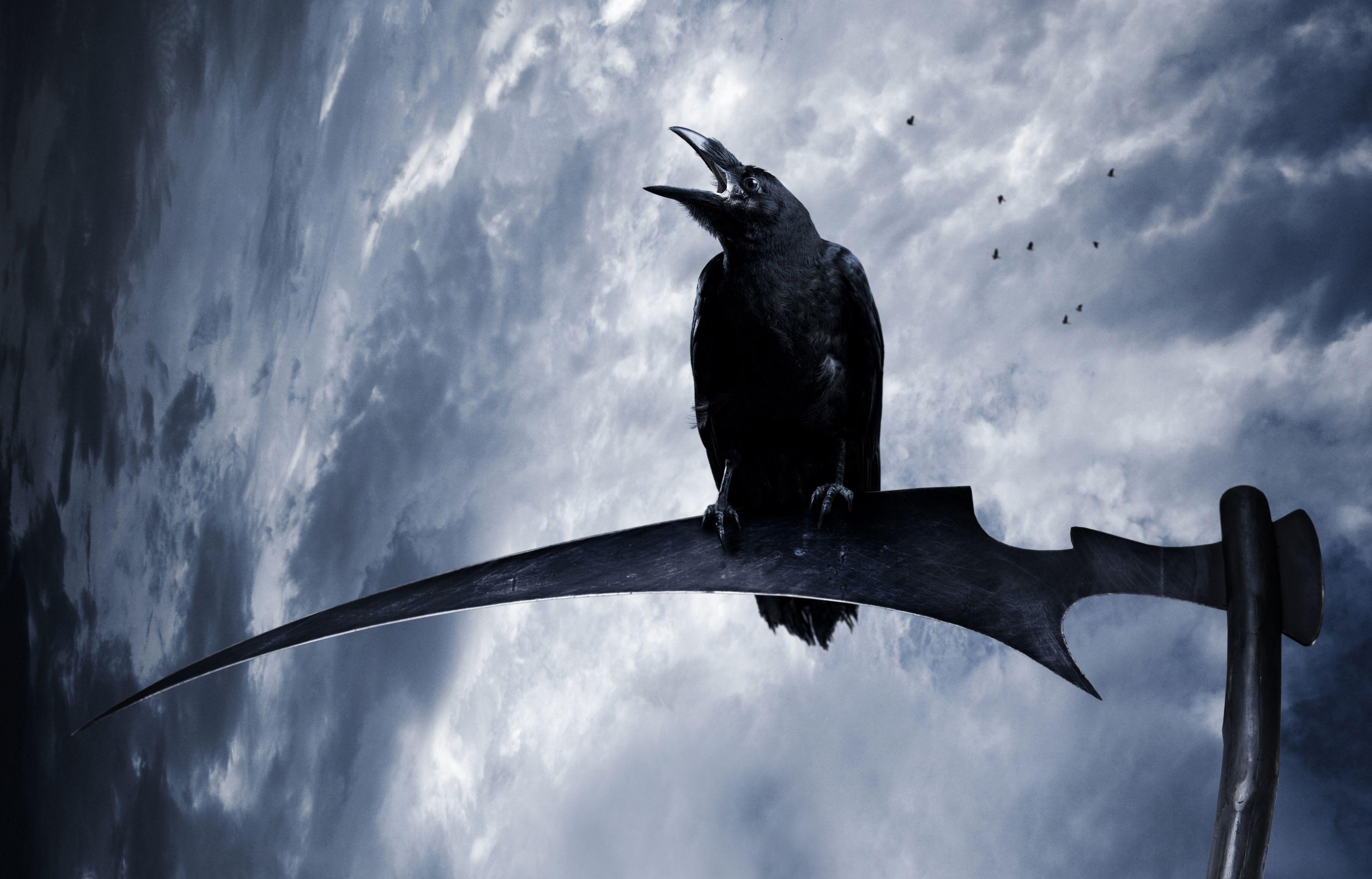 3744x2400 Crow