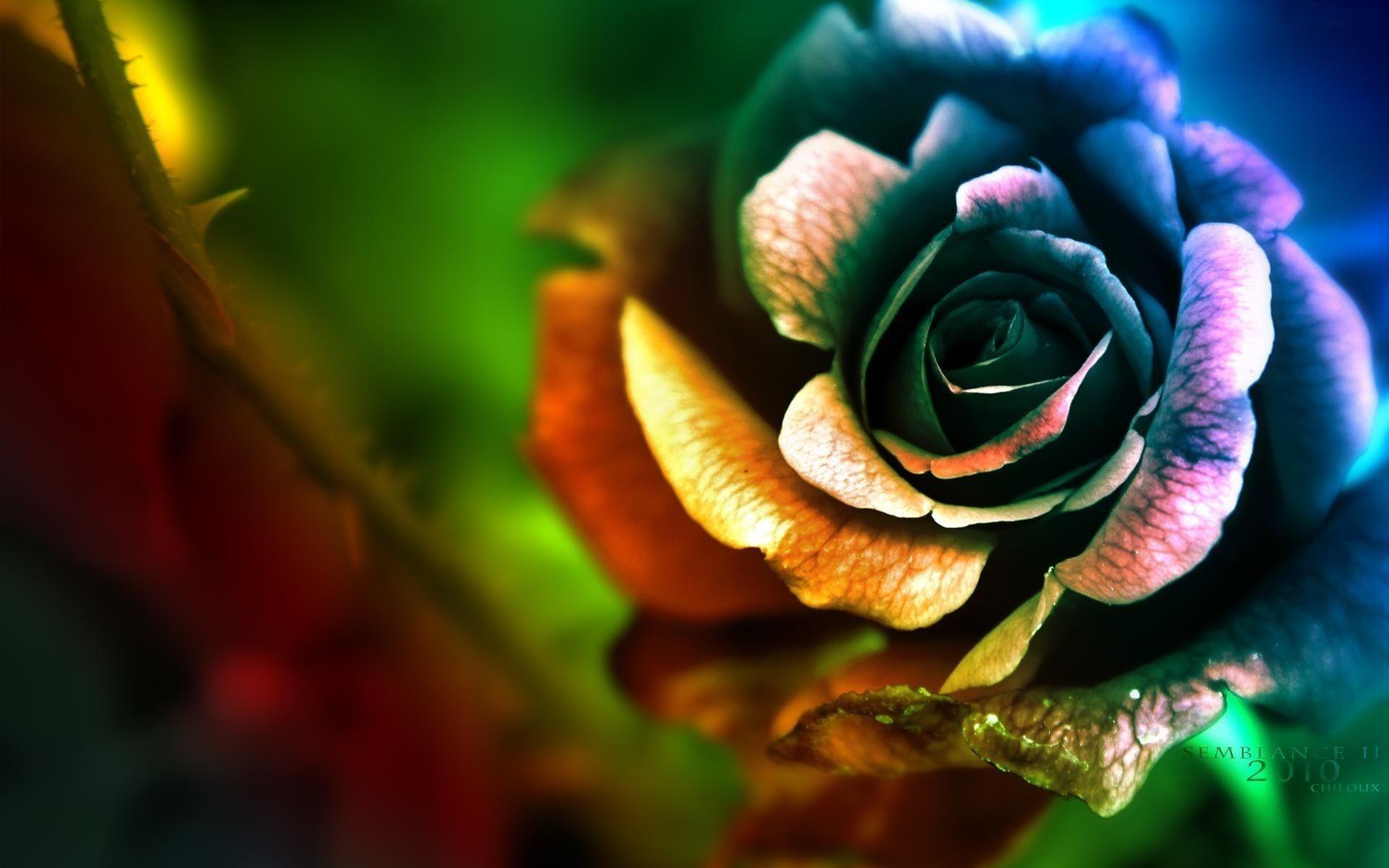 1920x1200 Wallpaper HD For Desktop Full Screen 1080p