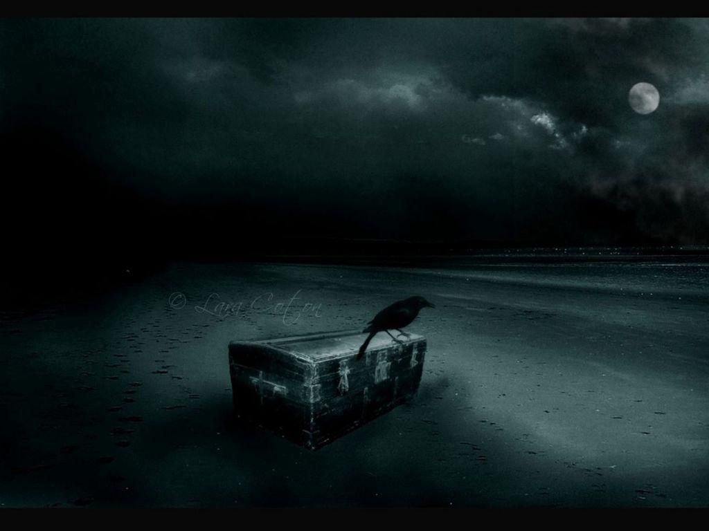 1024x768 Rebel Wallpaper Free Download