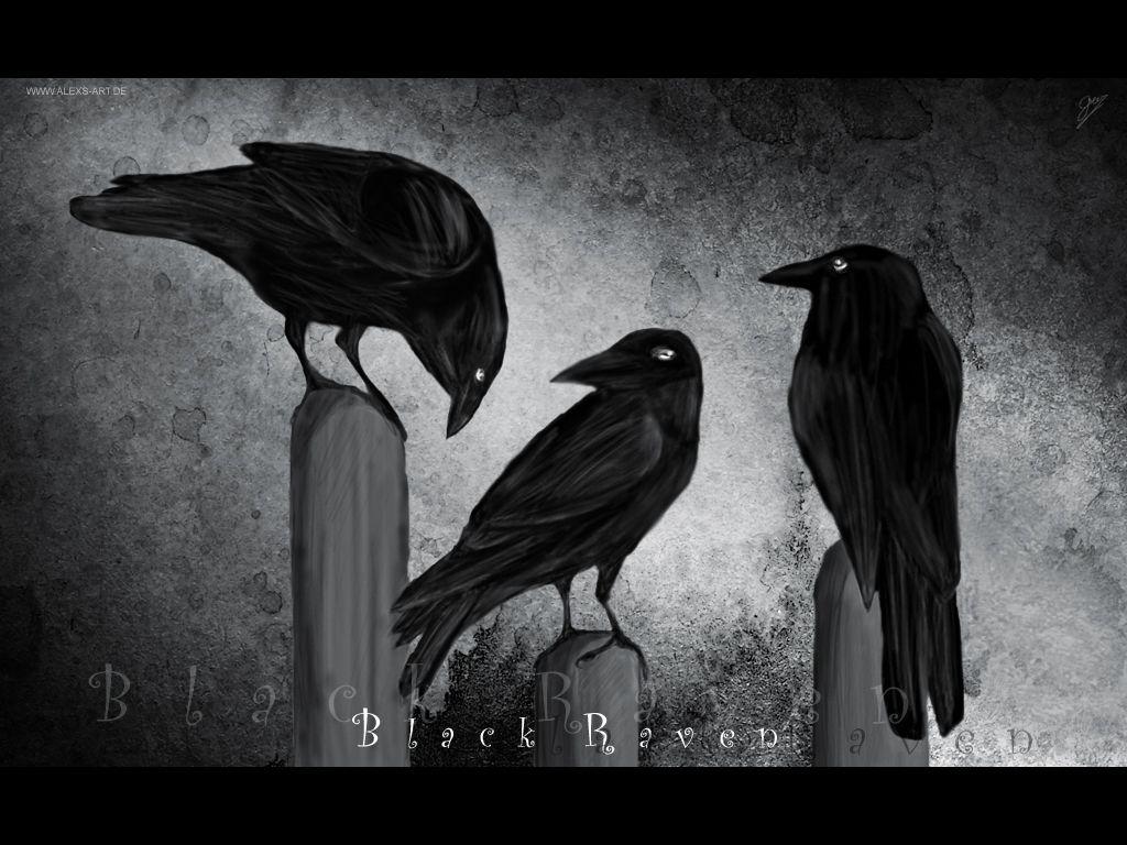 1024x768 Raven Wallpaper