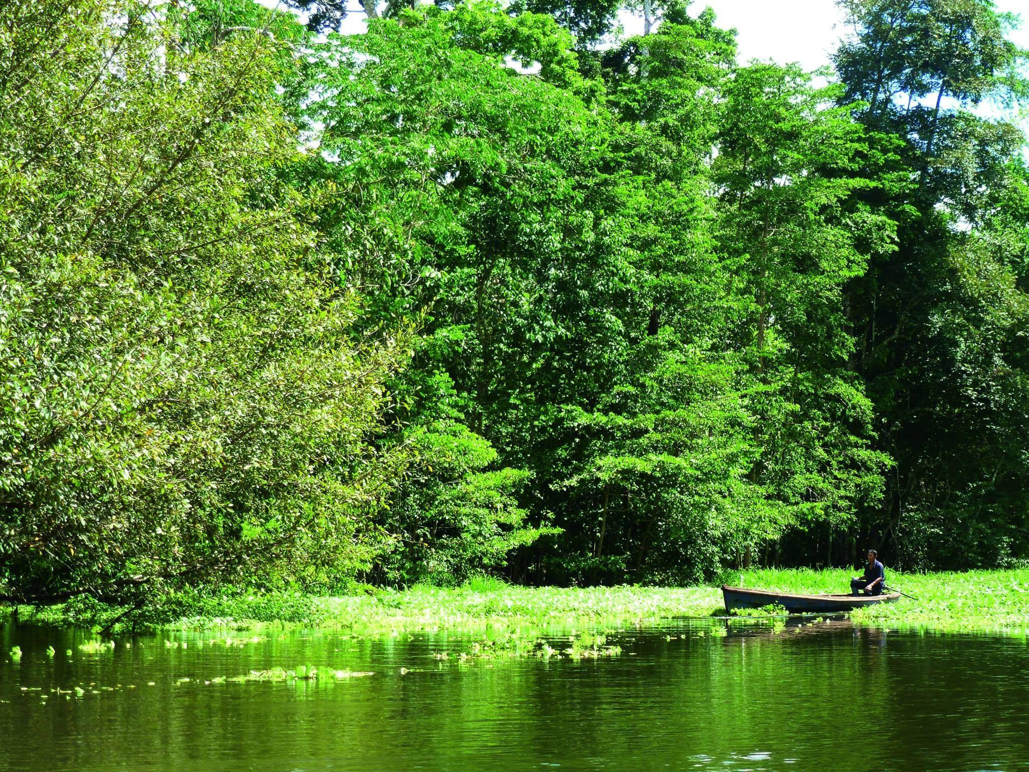2048x1536 Paisajes en el Amazonas colombiano belleza
