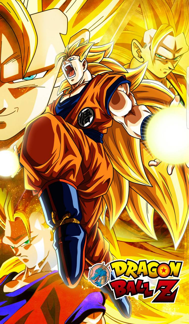 748x1280 Goku ssj3 wallpaper