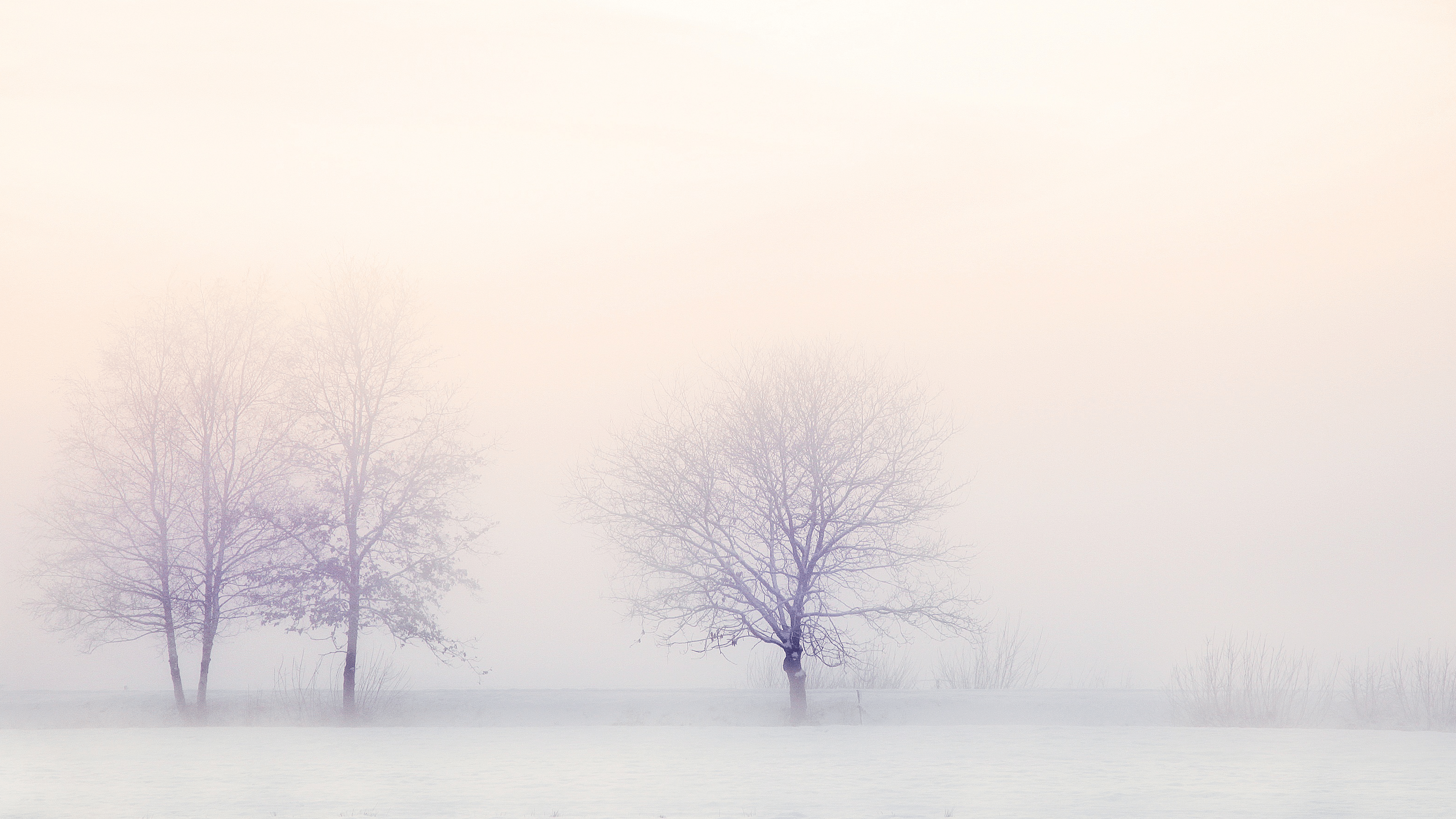 3840x2160 White Wallpaper HD