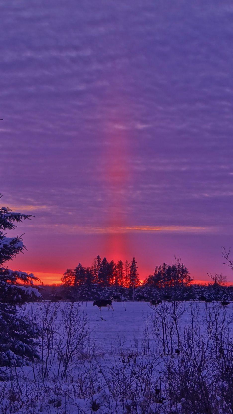 938x1668 Download wallpaper 938x1668 winter, sunset, field, landscape