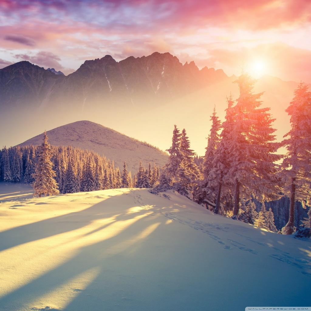 1024x1024 Winter Sunset Wallpaper (1024x 0.31 Mb)