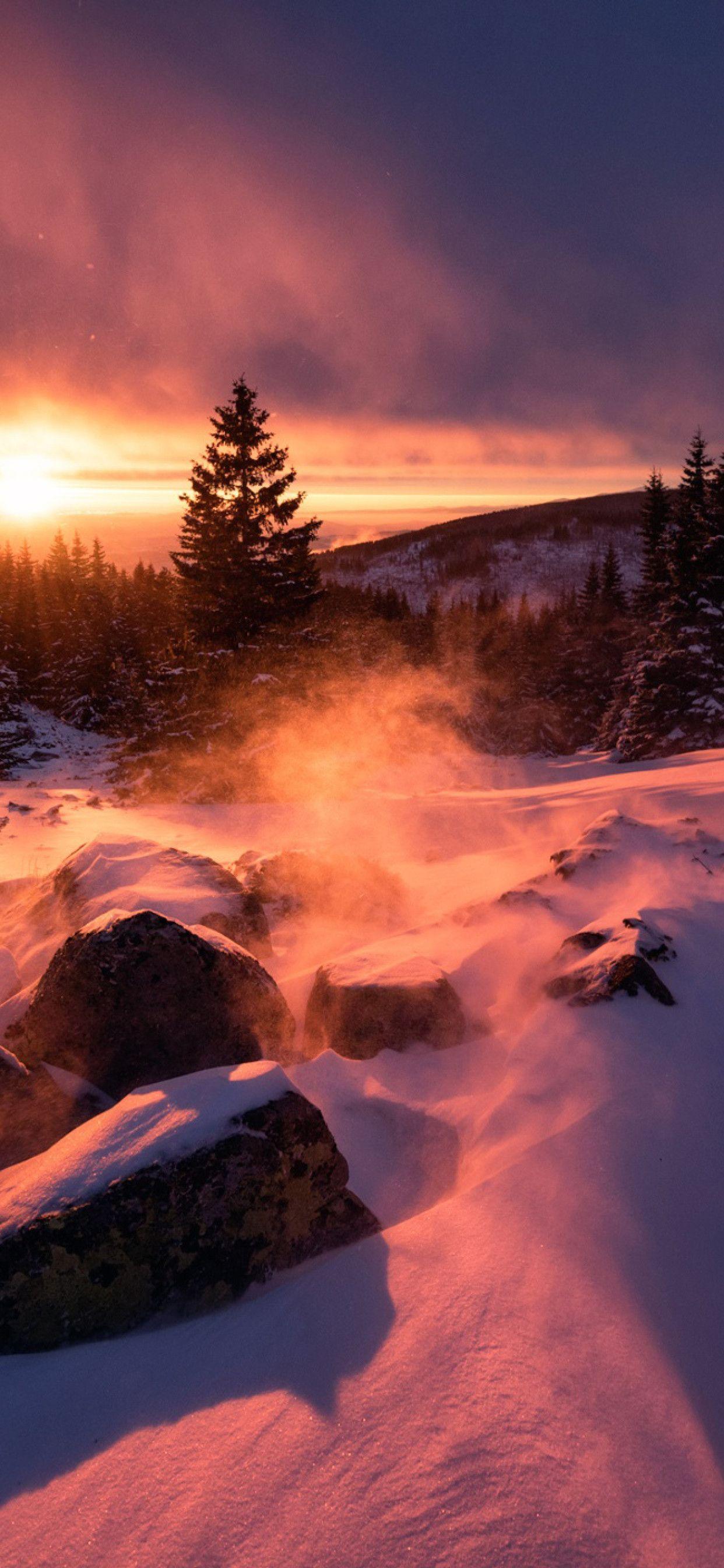 1242x2688 Winter Snow Sunset iPhone XS MAX HD 4k Wallpaper