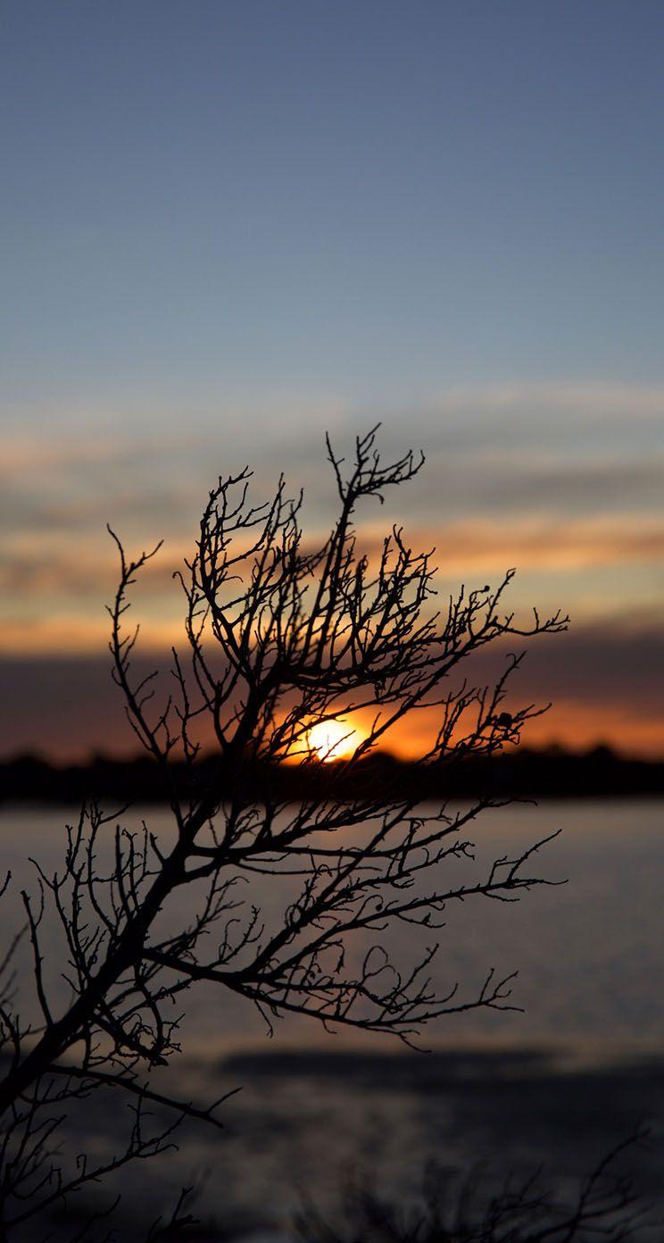 744x1392 The iPhone Wallpaper Winter Sunset