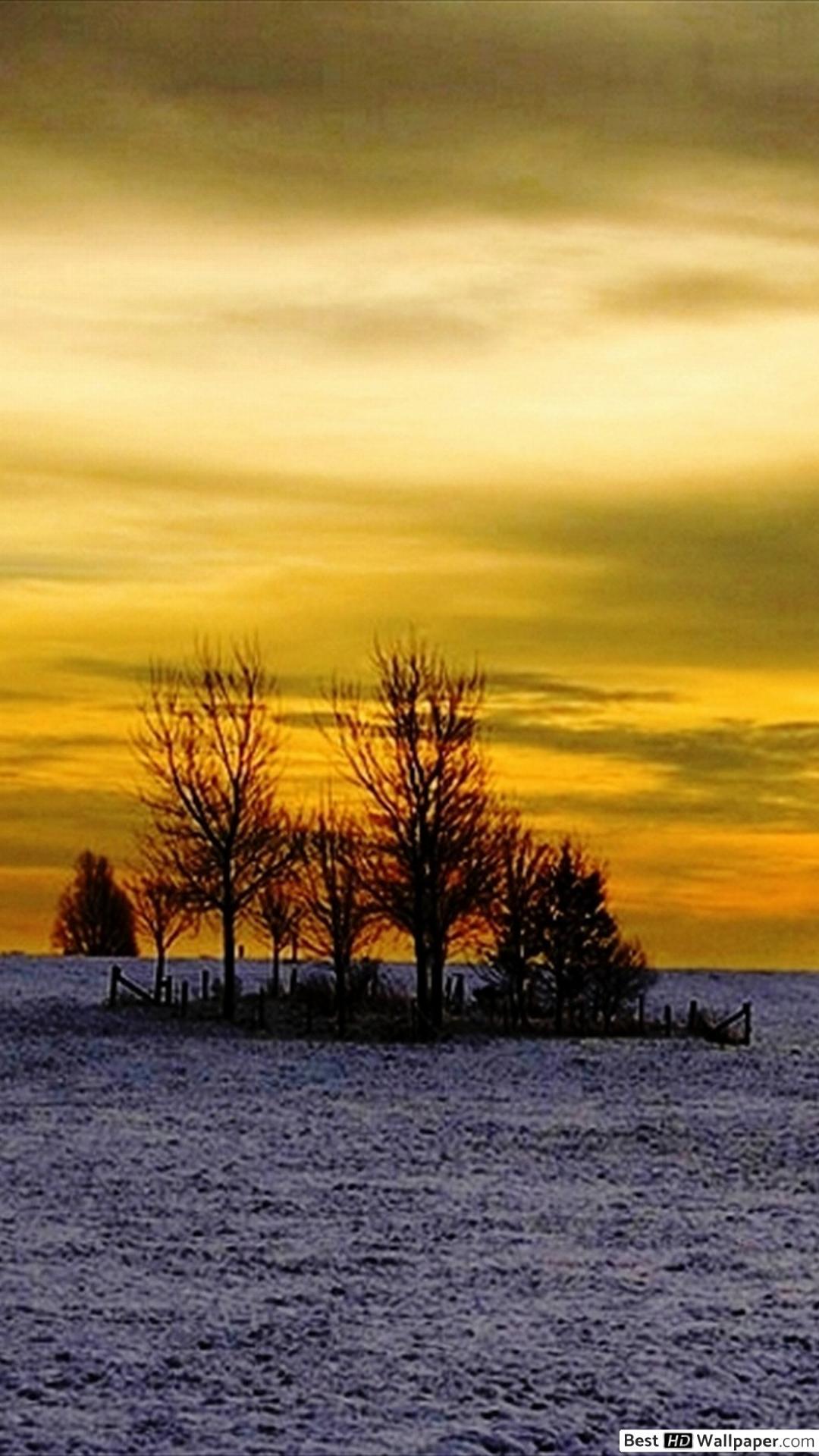 1080x1920 Winter golden sunset HD wallpaper download