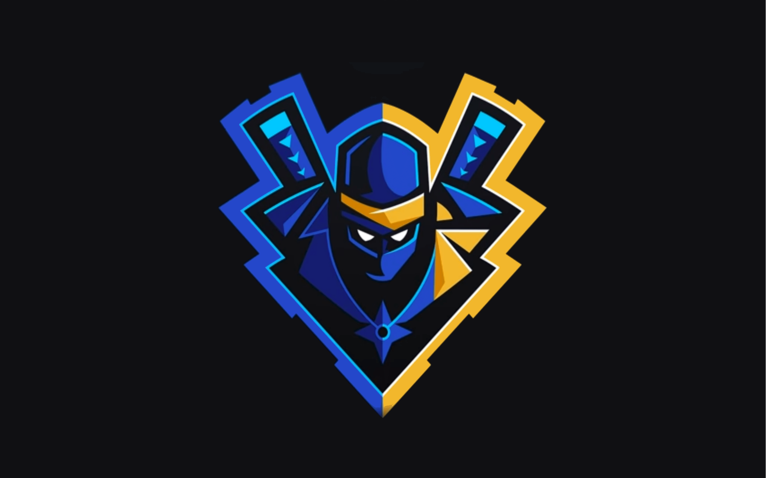 2560x1600 NINJA Desktop Wallpaper