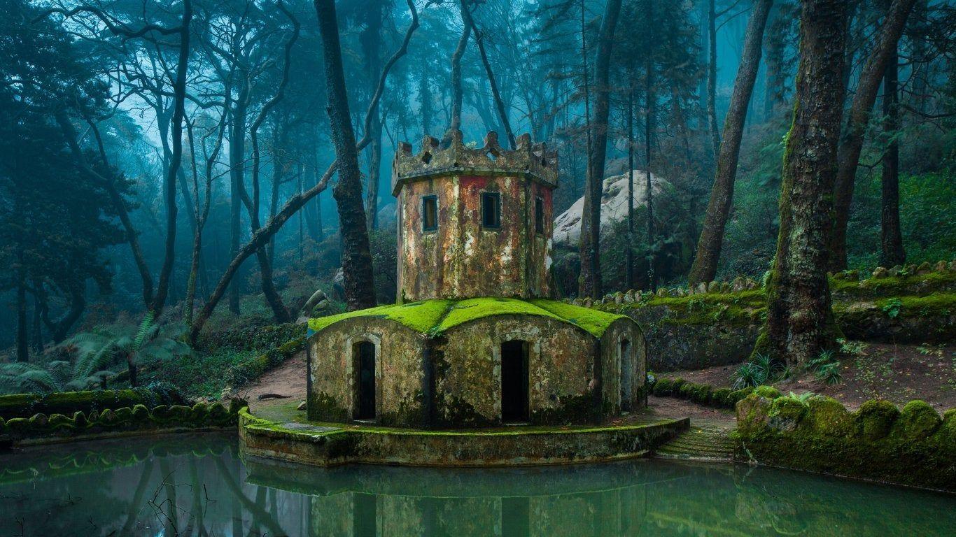1366x768 Still water and murky woods in Sintra, Portugal [1366×768] Higher