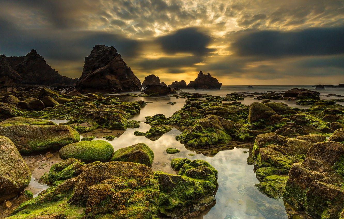 1332x850 Wallpaper sea, the sky, sunset, stones, coast, moss, horizon, Portugal, Sintra, Praia da Ursa image for desktop, section природа