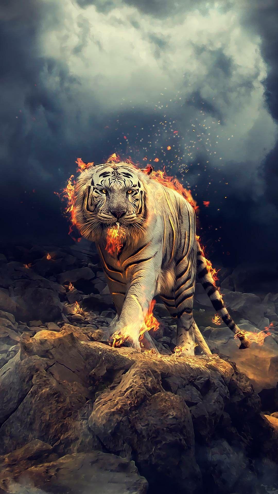 Aesthetic Tiger Wallpapers Top Free Aesthetic Tiger Backgrounds