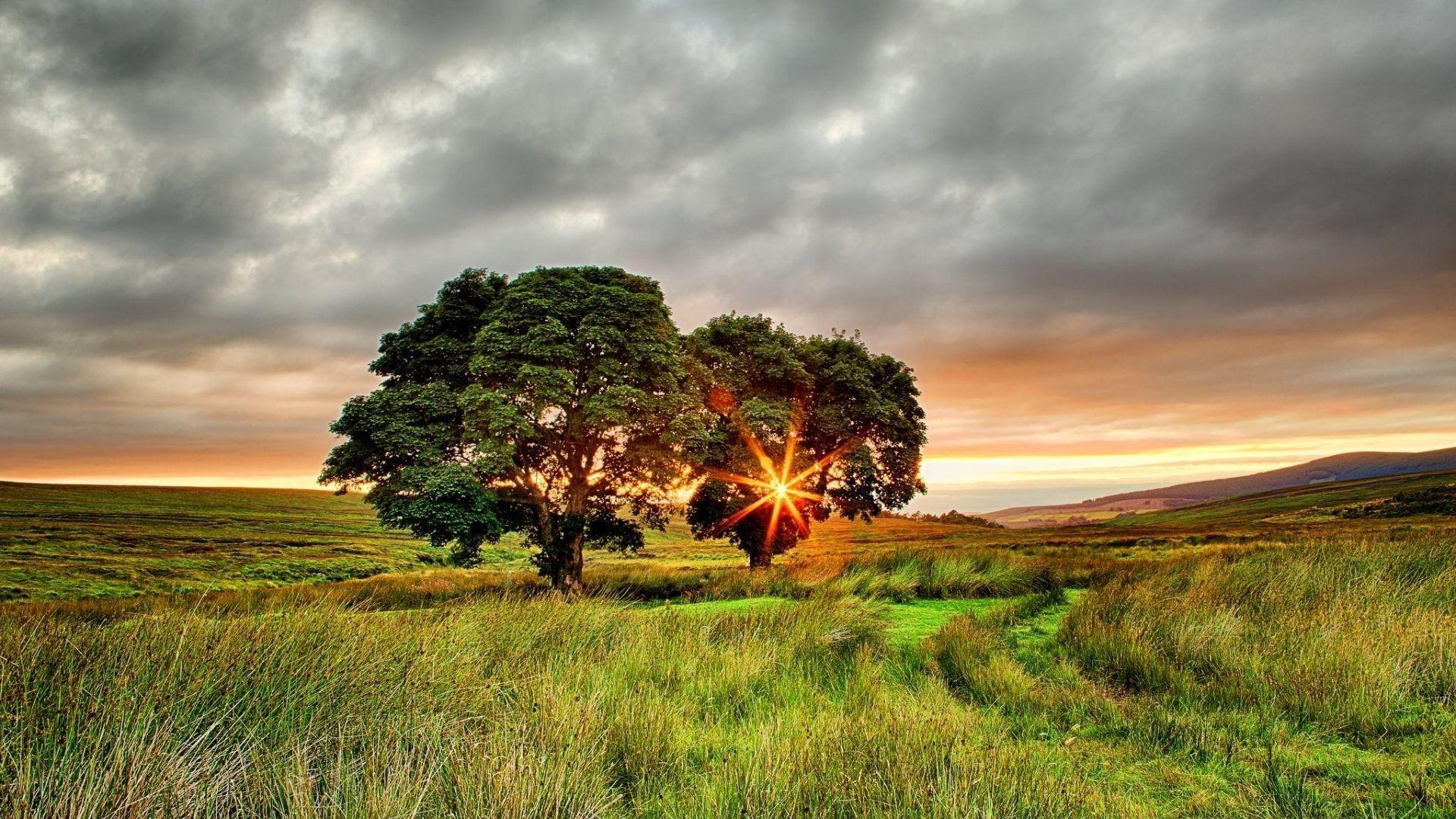 1920x1080 Ireland Countryside wallpaper wallpaper Collections