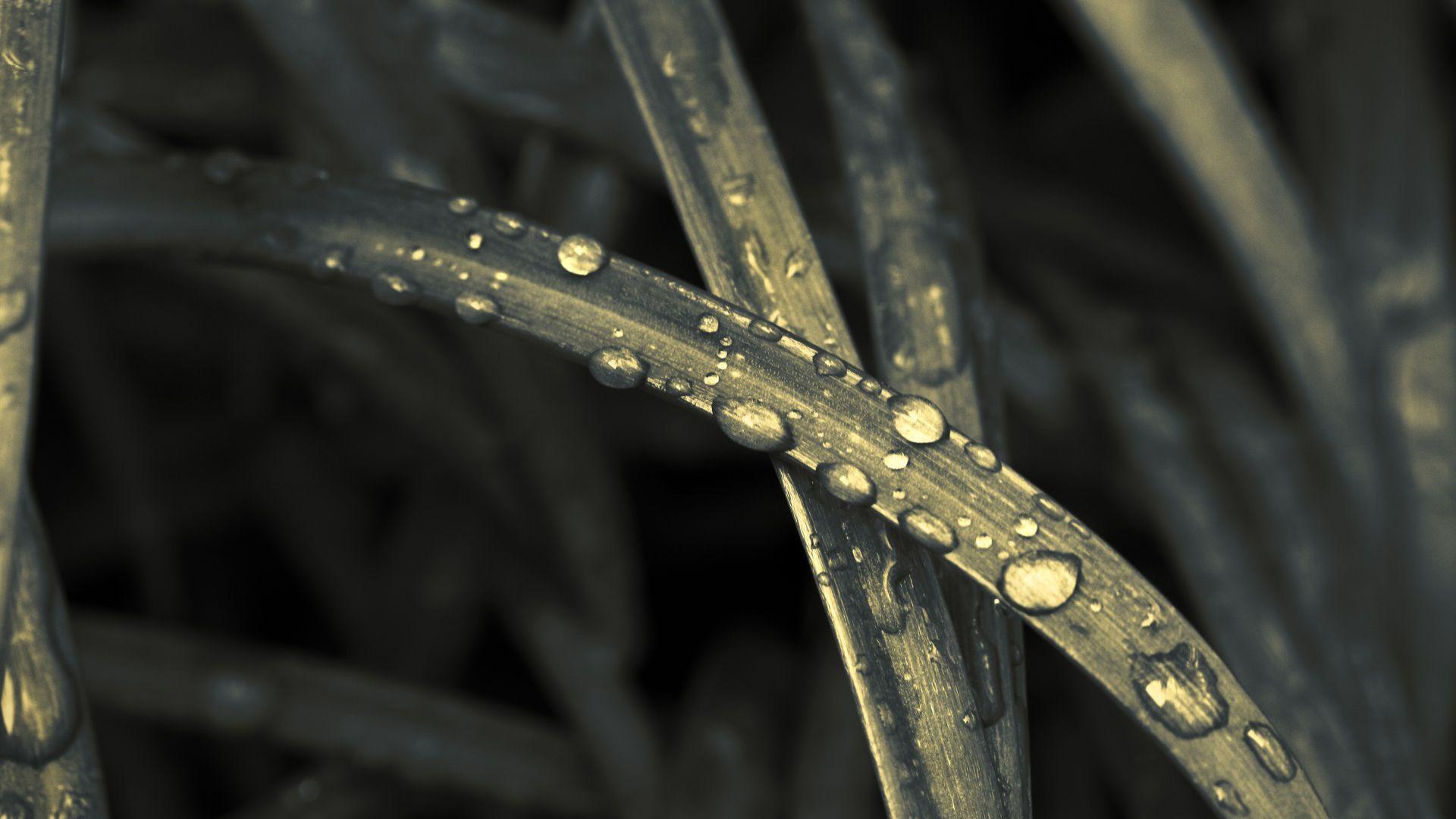 1920x1080 Minimalist, Nature, Background, Wallpaper, Photography Desktop