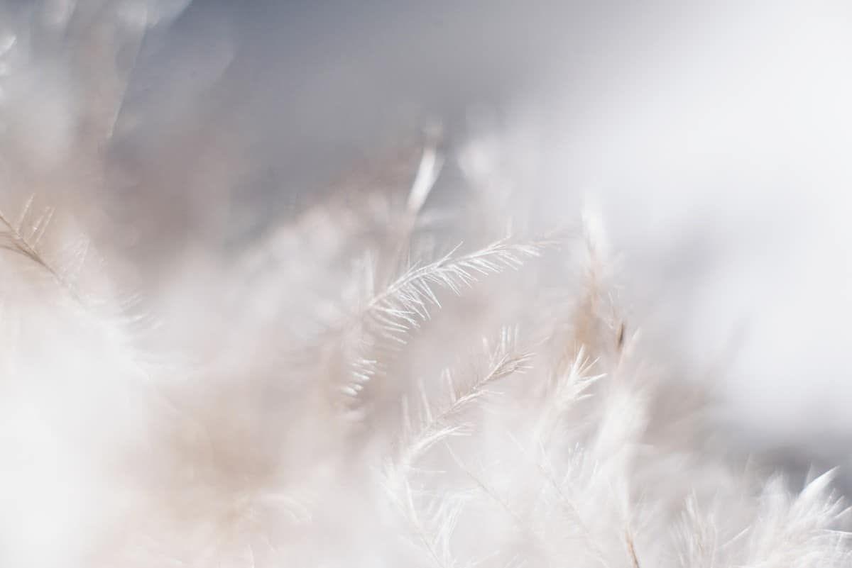 1200x801 Beautiful Minimal Desktop and Laptop Wallpaper for Minimalist