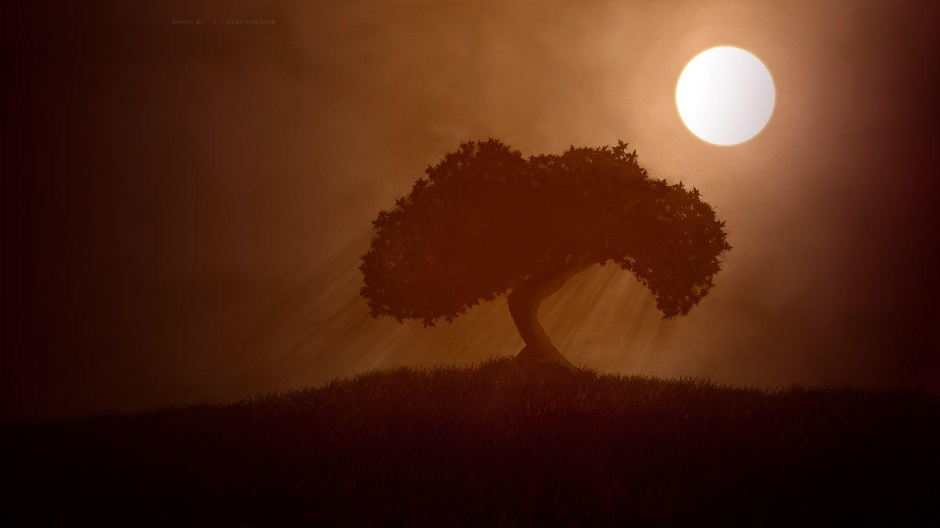 1920x1080 Minimalist Nature Wallpaper