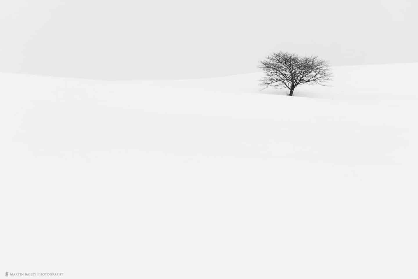 1440x960 Minimalism in Photography (Podcast 530) · Martin Bailey Photography