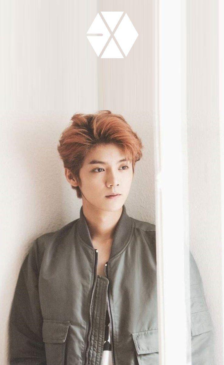 738x1200 K Pop Drama_Locks #EXOLs! #EXO #엑소 INDIVIDUAL