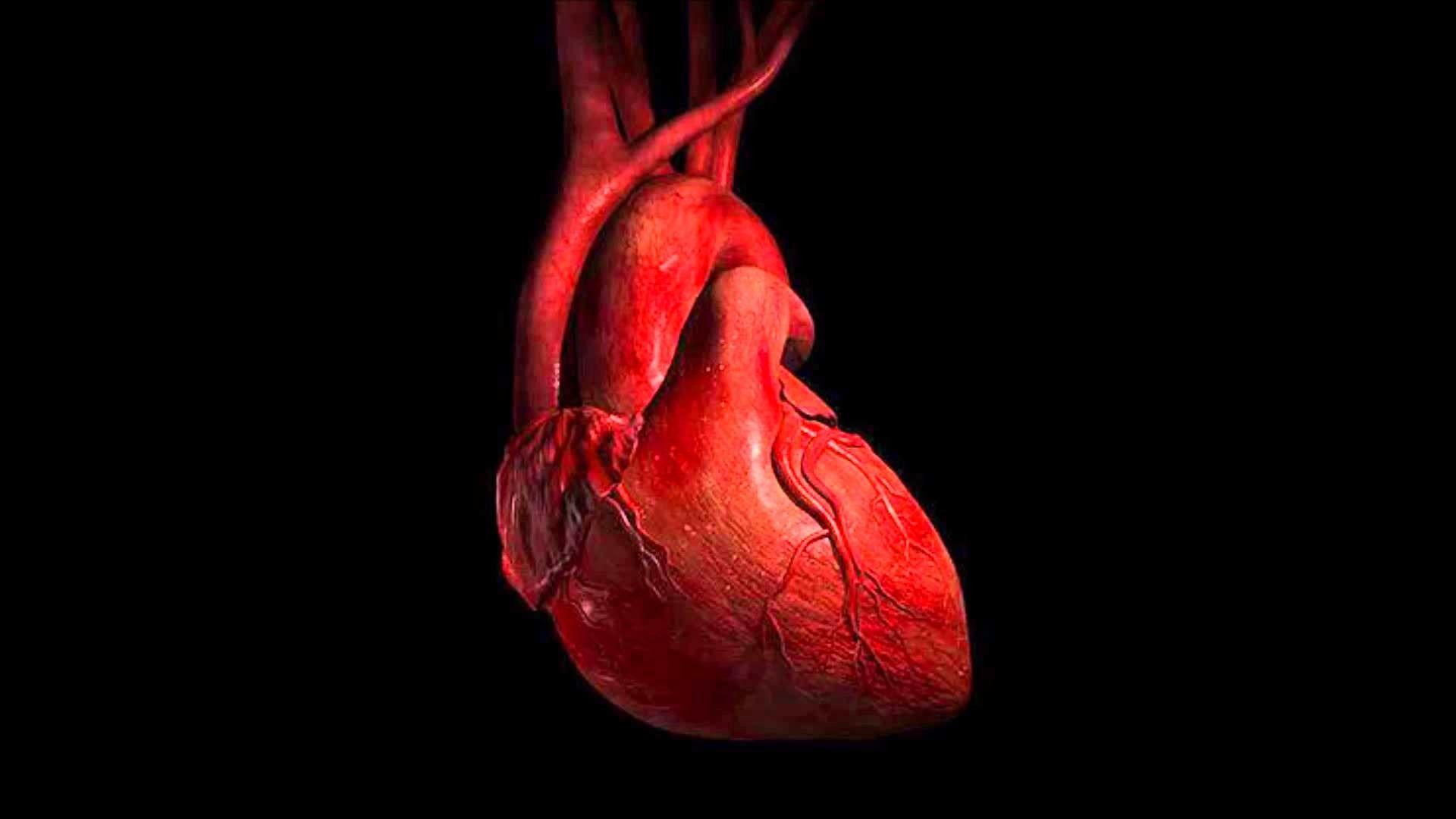medical heart wallpaper