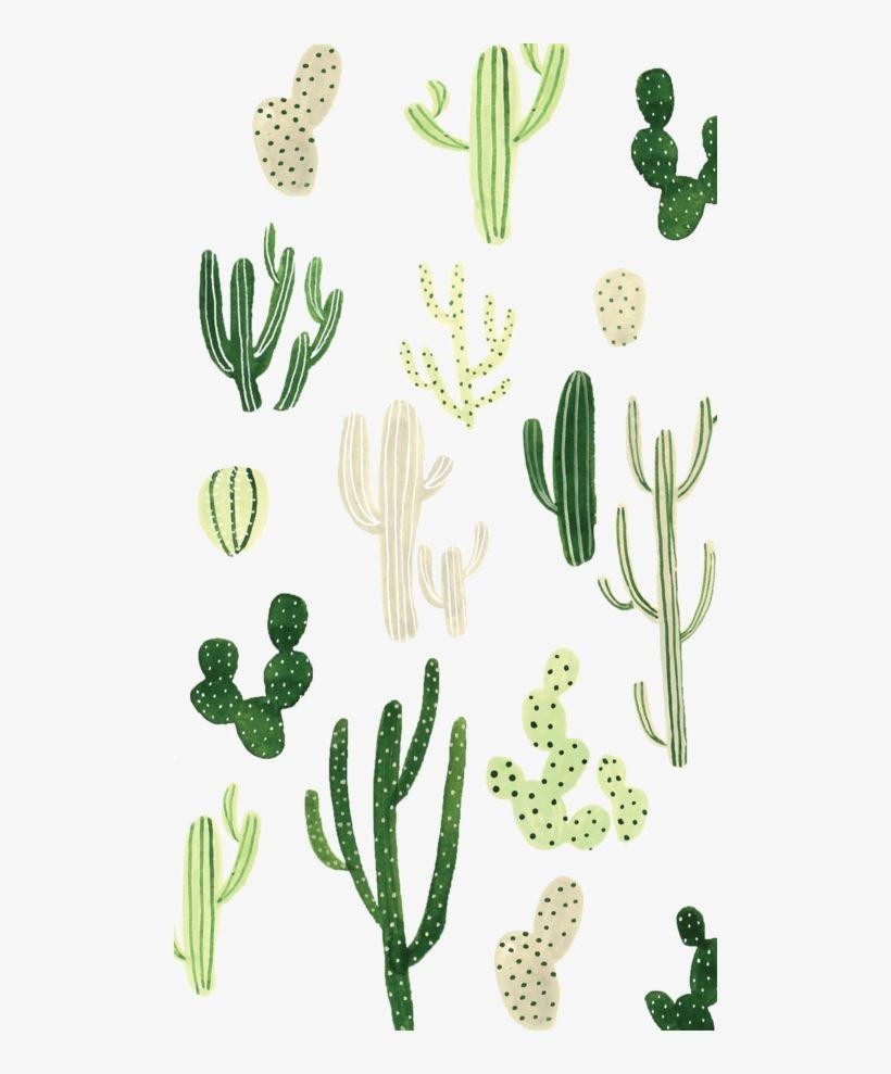 820x989 Cactus Wallpaper For Phones Wallpaper