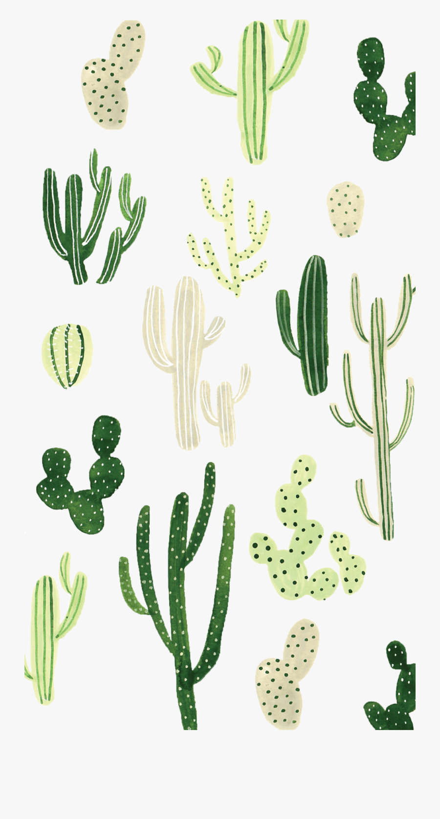900x1676 Cactus Wallpaper iPhone 7 Plus Wallpaper Phone, Free
