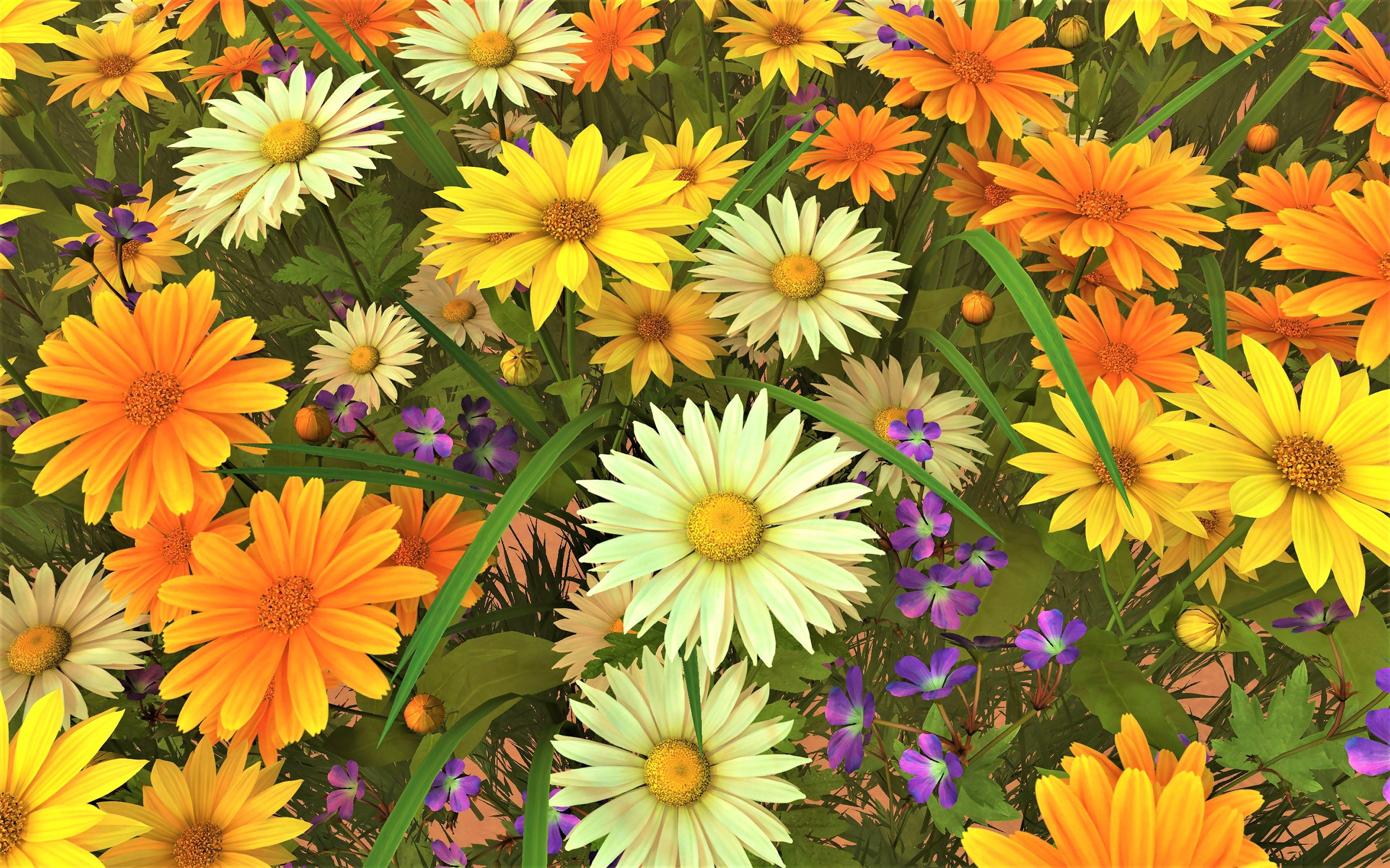 Yellow Daisy Wallpapers - Top Free Yellow Daisy Backgrounds - WallpaperAccess