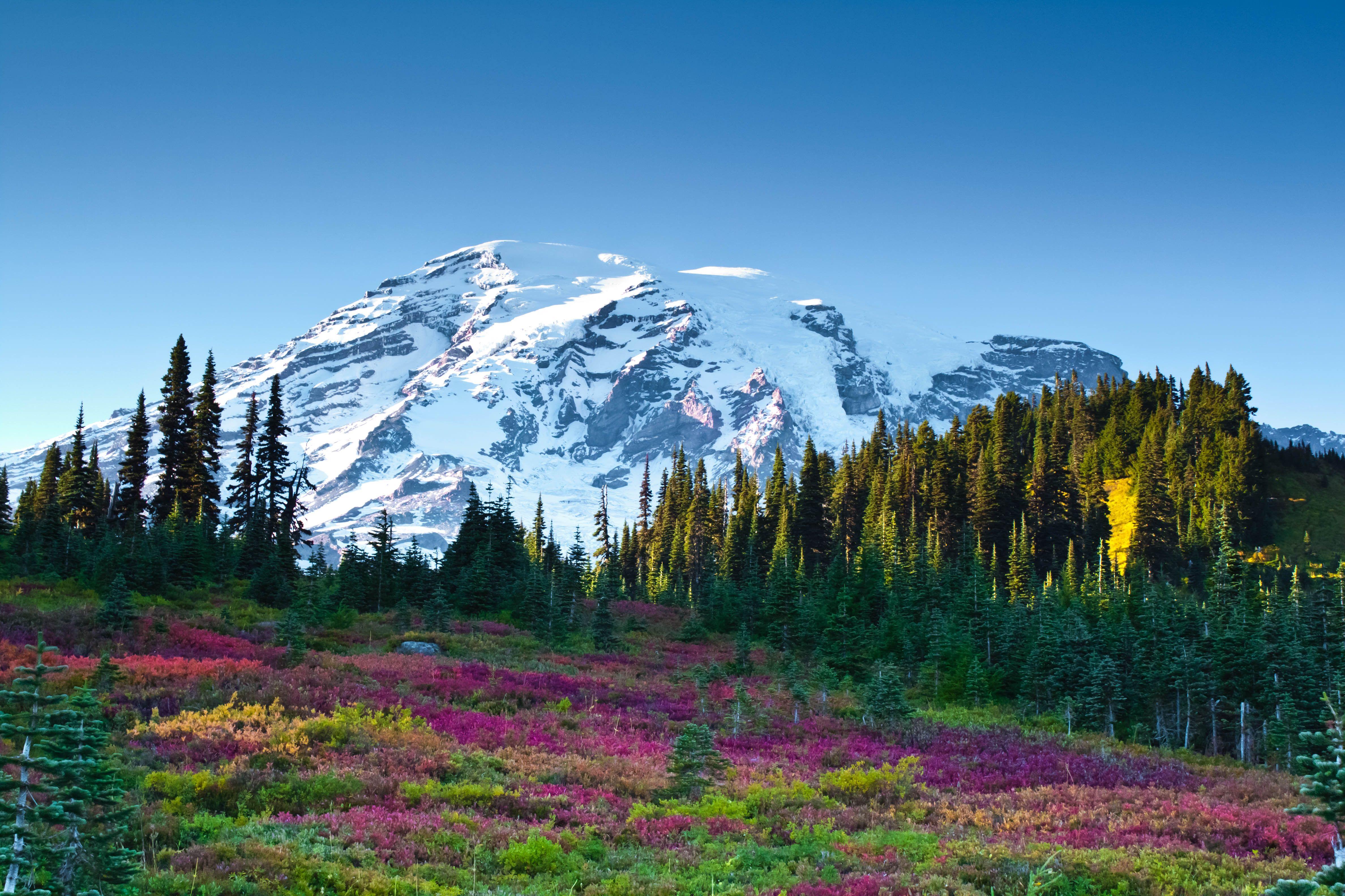 4752x3168 Wallpaper Mount Adams, Mount Rainier National Park, 4K, Nature