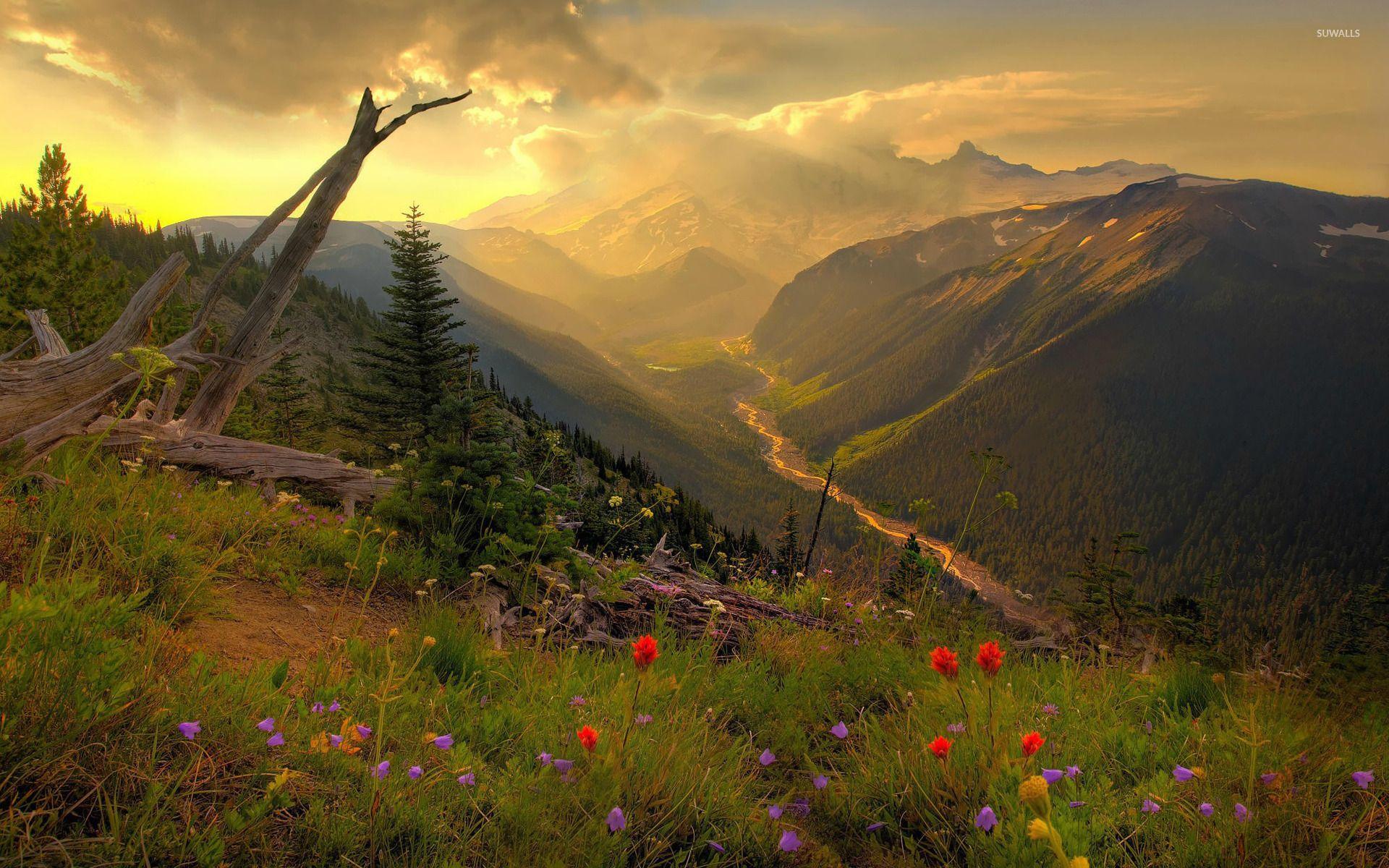 1920x1200 Mount Rainier National Park [2] wallpaper wallpaper