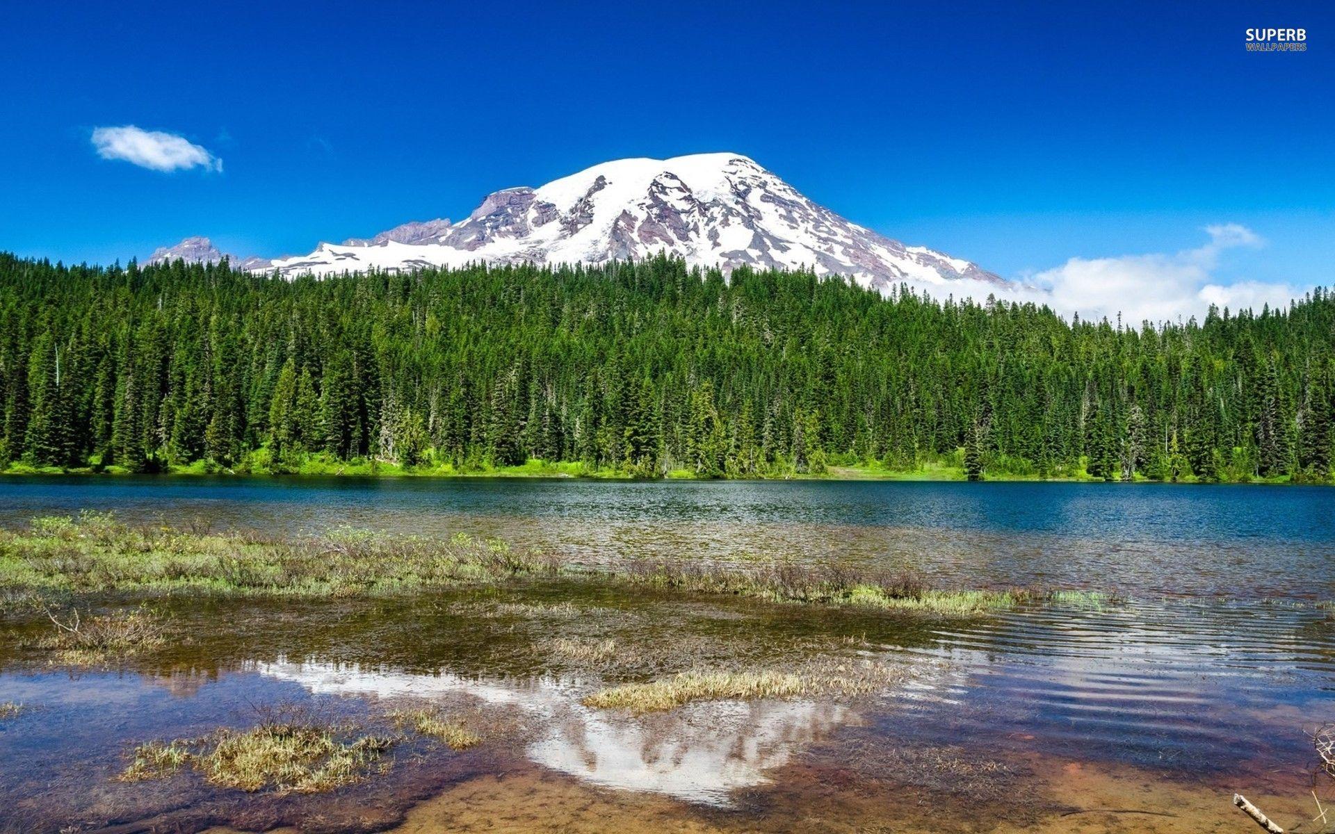 1920x1200 Mount Rainier National Park wallpaper. Mount Rainier National