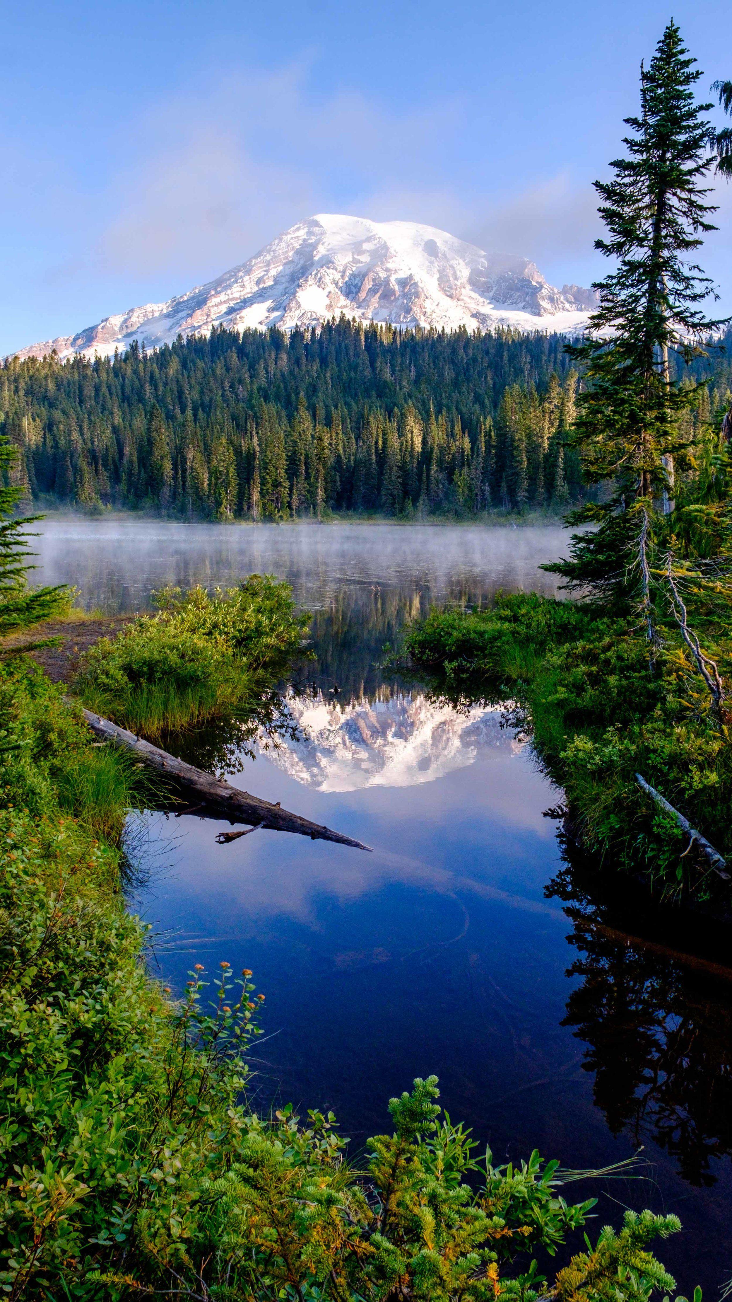 2500x4444 Mount Rainier National Park Mobile Phone Wallpaper