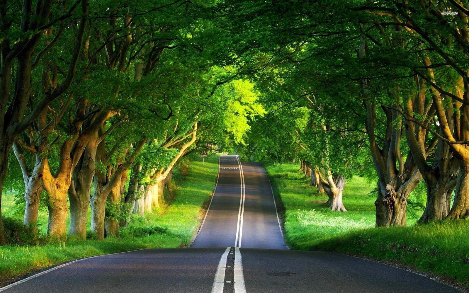 1600x1000 HD Highway Road wallpaper and image for your Desktop, Laptop
