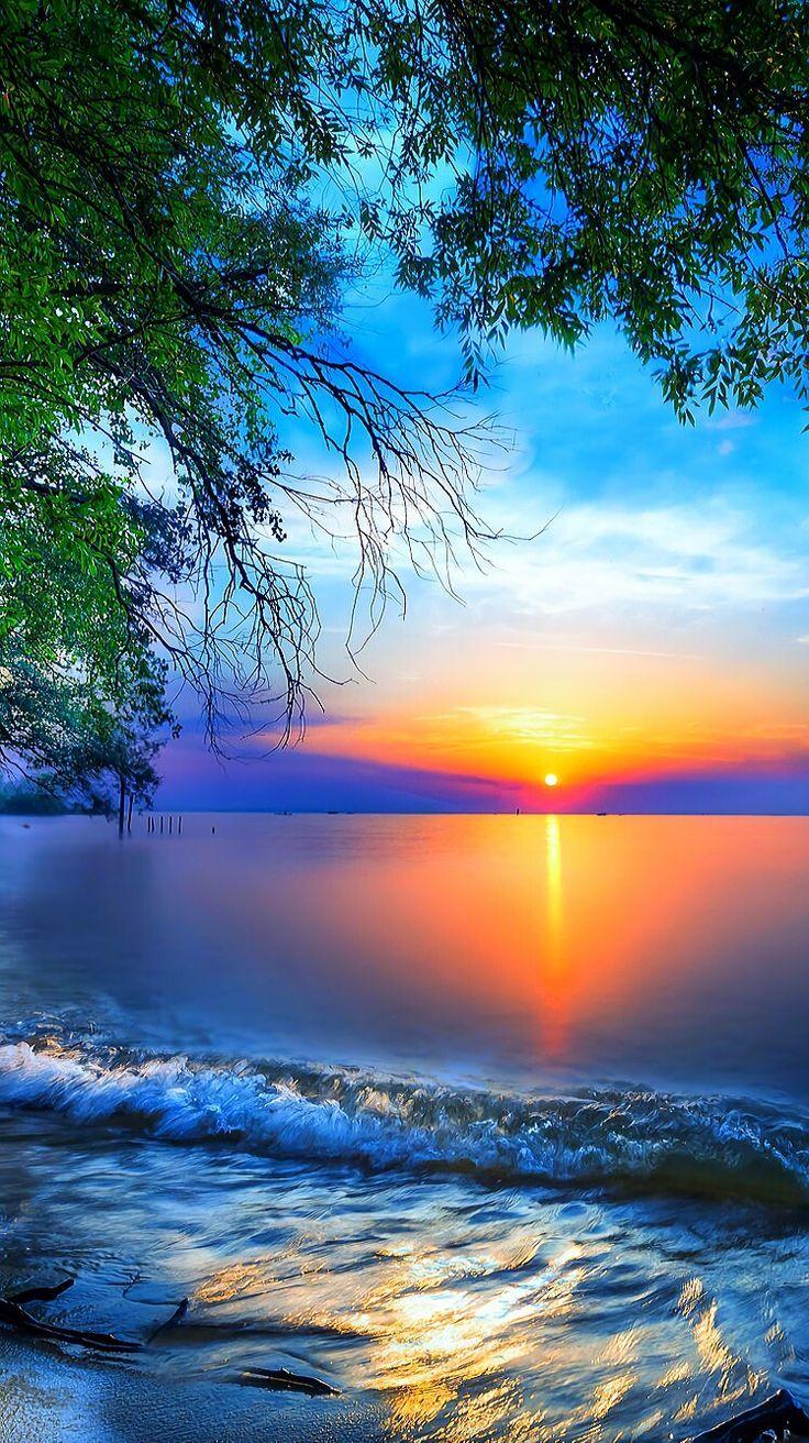 736x1312 Sunrise HD Wallpaper