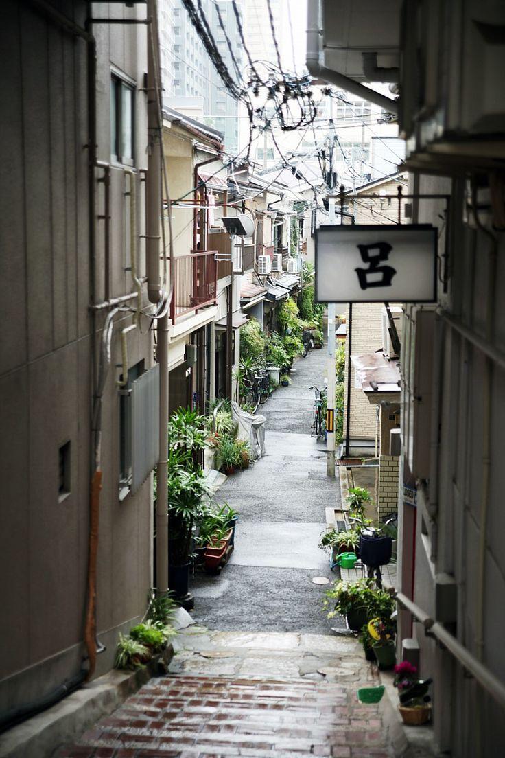 736x1104 best South Korea Scenery and Lights image. South