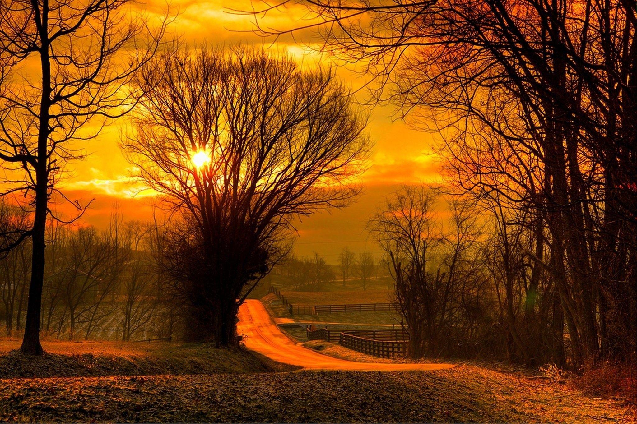 2048x1364 Forest, Landscapes, sun, HD Image, Nature, HD Sunrise Wallpaper