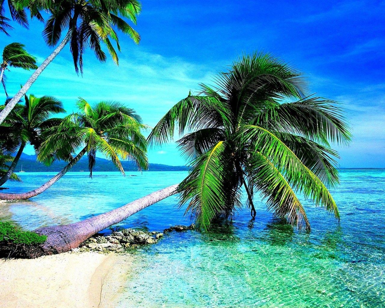 1280X1024 Beach Wallpapers - Top Free 1280X1024 Beach Backgrounds ...