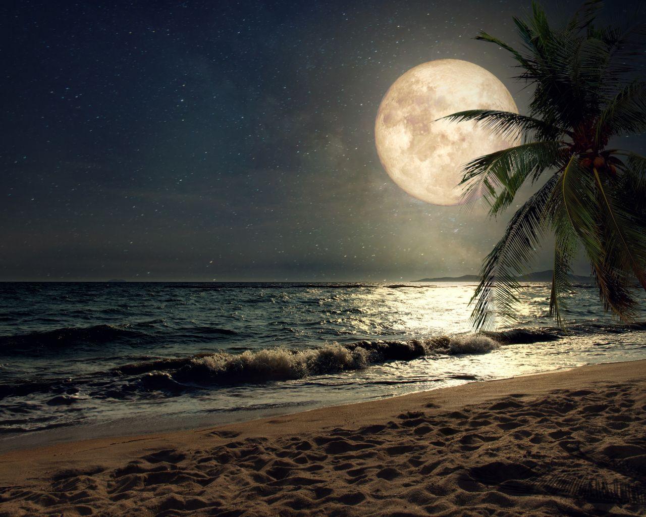 1280x1024 Download 1280x1024 wallpaper beach, sand, night's moon, palm tree