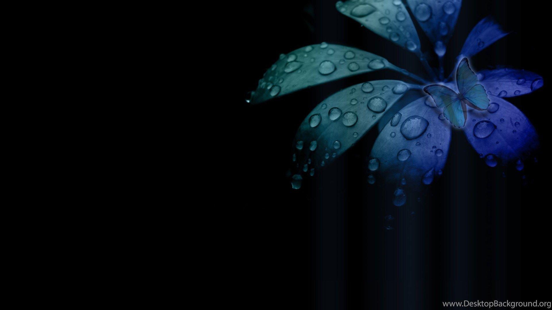 1920x1080 High Resolution Black Flower Desktop Wallpaper HD 3 Full Size