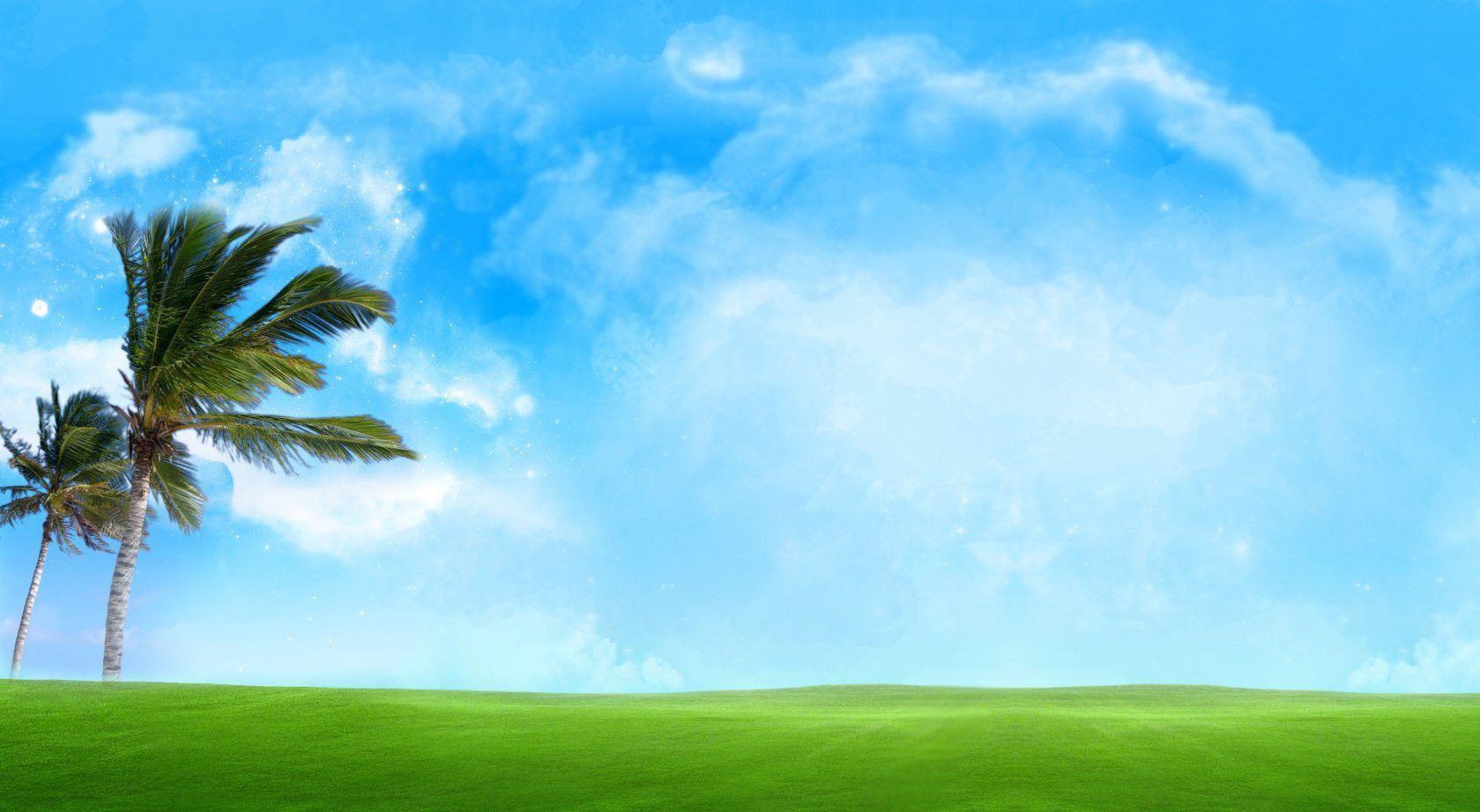 1679x921 Red Tree Against A Blue Sky HD Desktop Wallpaper Global