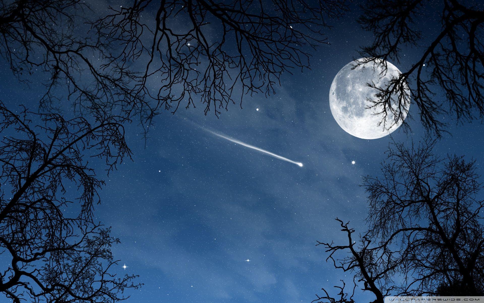 1920x1200 Falling Star Wallpaper