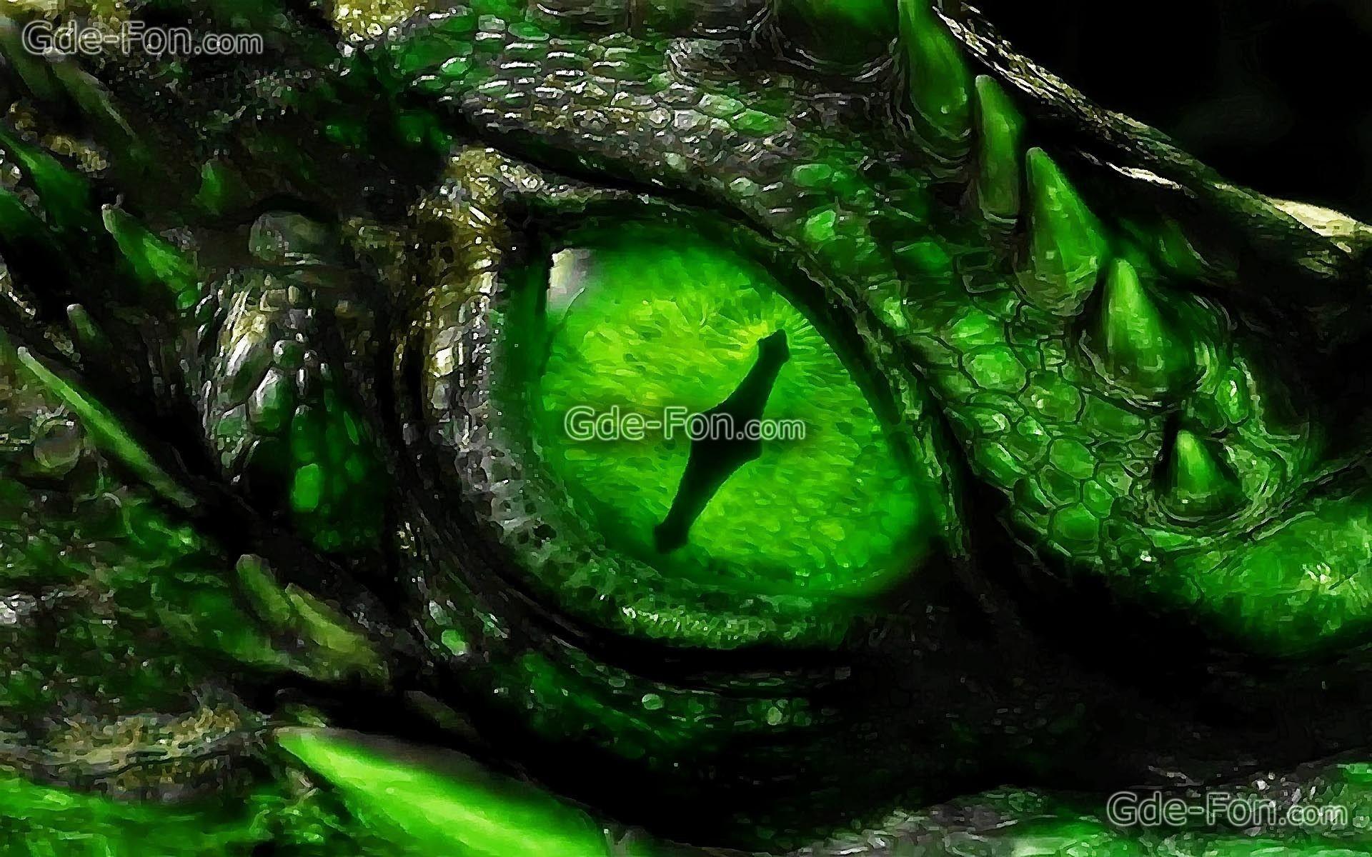 1920x1200 Dragon Wallpaper and Background