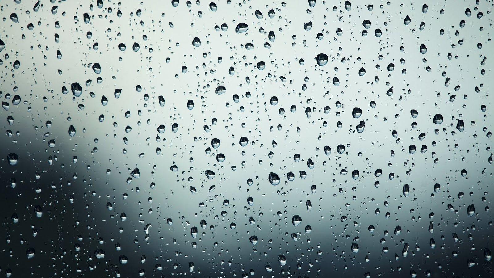 1600x900 Free download wallpaper rain wallpaper HD rain wallpaper