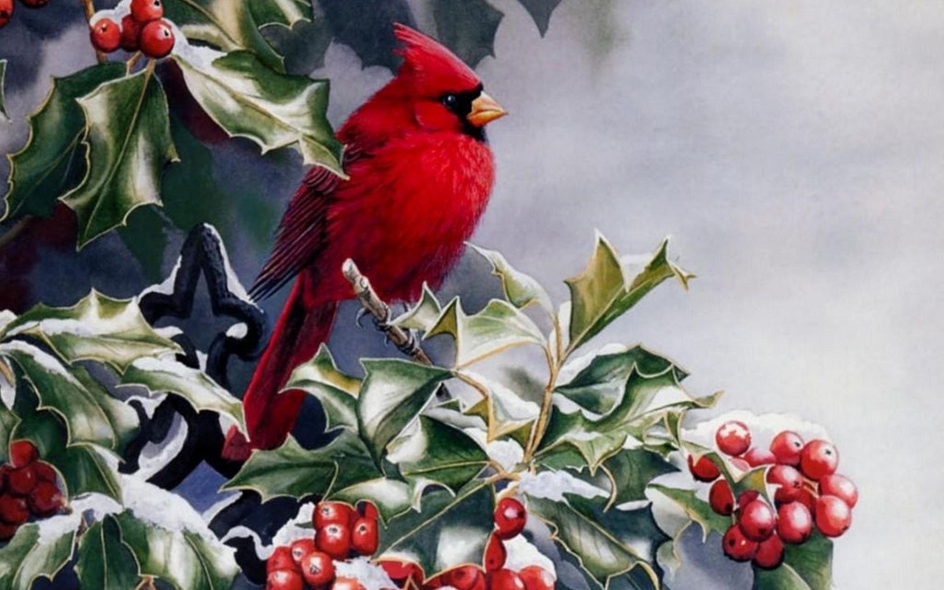 1920x1200 Cardinal Birds Wallpaper
